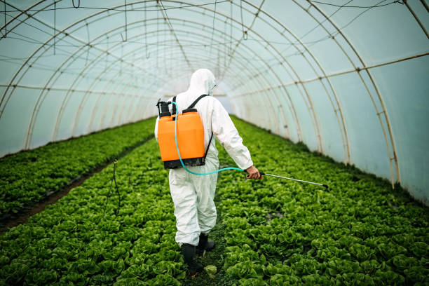 Best Emergency Pest Control  in South Gate, CA