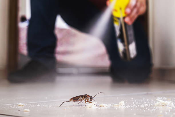  South Gate, CA Pest Control Pros