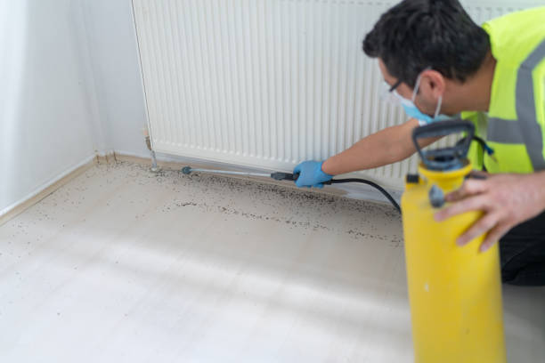 Best Pest Inspection Near Me  in South Gate, CA